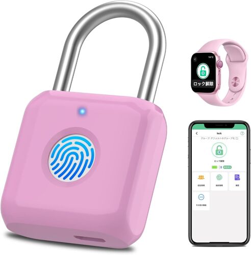Cadenas à empreintes digitales - Pour filles et femmes - Rose - Avec application téléphonique - Cadenas en métal pour crochet de sport scolaire - Boîte à outils - Sac à dos - Bagages