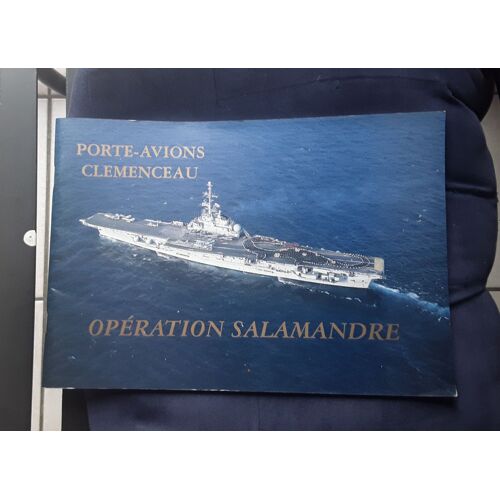 Porte Avions Clemanceau Operation Salamandre
