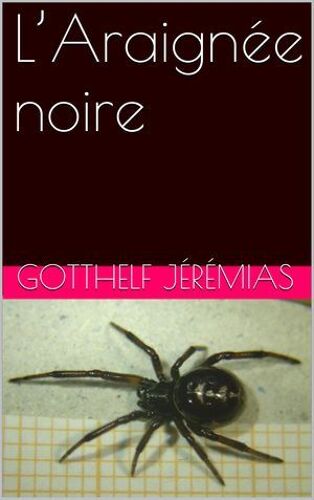 L'araignée Noire