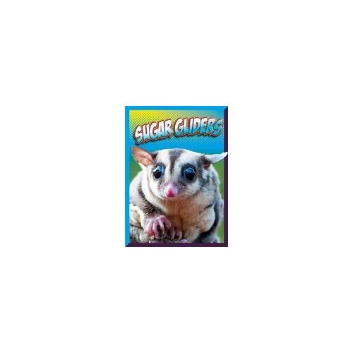 Sugar Gliders