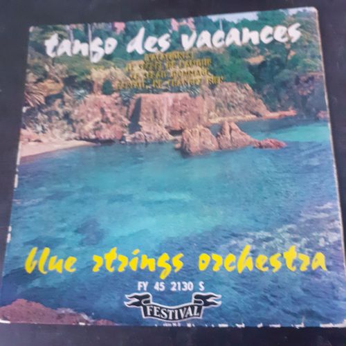 Pochette Vide Vynil