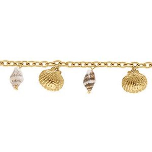 Bracelet Acier Doré Pampilles Coquillages 16+3cm