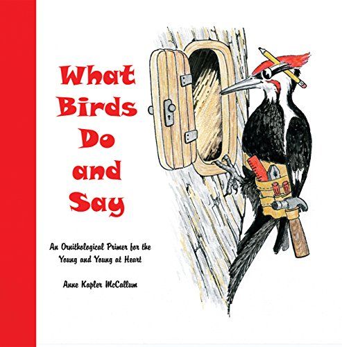 What Birds Do And Say: An Orinthological Primer For The Young And Young At Heart