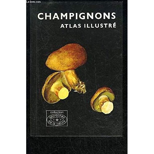 Champignons Atlas Illustre