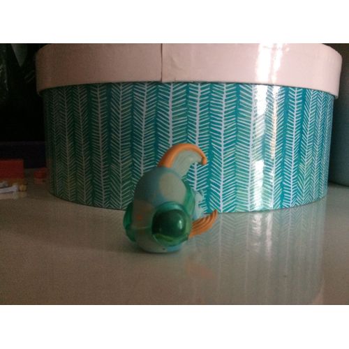 Petshop Poisson Bleu
