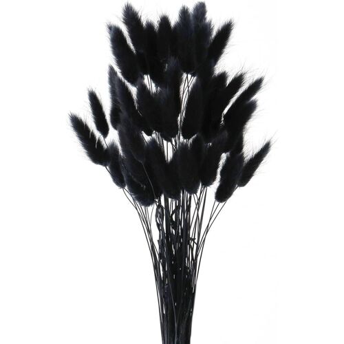 KALANKA-Herbe de Queue de Lapin Séchée, Herbe De La Pampa Fleurs Séchées, 50 Pcs Ne Se Fanent Jamais Fleur Sechees pour Décoration de Maison, Mariage (Noir)