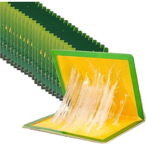 ASFASFq-Piege Cafard,20 Pièces Pièges à Cafards Puissant,Anti Cafards,Pièges À Cafards,Produit Anti Araignée,pour Jardin Maison Cuisine Salle de Bain Bureau.