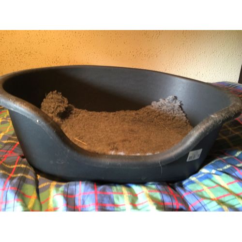 Corbeille Pour Chiot Ou Chien De Petite Taille