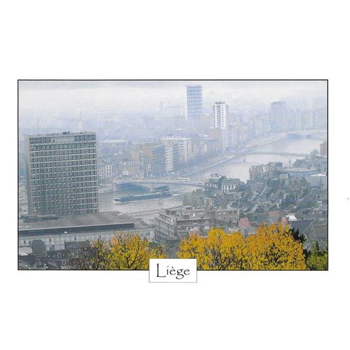 Belgique, Très Belle Carte Postale Neuve, Vue De Liège Dans Une Brume Automnale.