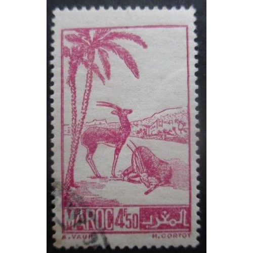 Maroc N°231b Oblitéré