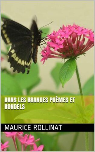 Dans Les Brandes Poèmes Et Rondels
