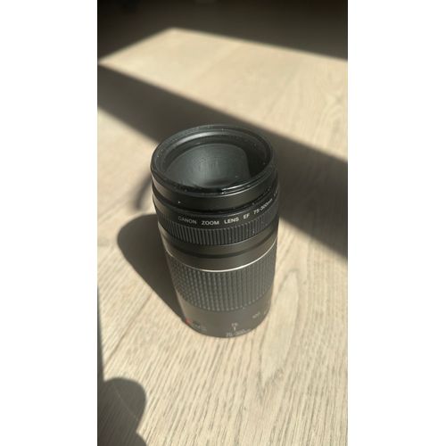 CANON EOS 6D Mark II 26.2 mpix + Objectif EF 24-70mm f/2.8L USM I + Objectif EF 75-300mm f/4-5.6 III, Sac Lowepro Flipside 400AW