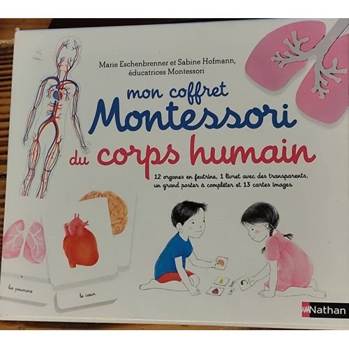 Le kit Montessori pour explorer le corps humain