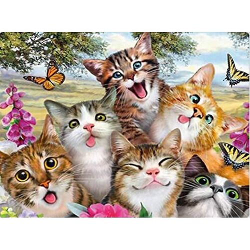 Kit De Broderie Diamant Carré 5d À Faire Soi-Même, Motif Chat Entièrement Peint En Diamant 5d