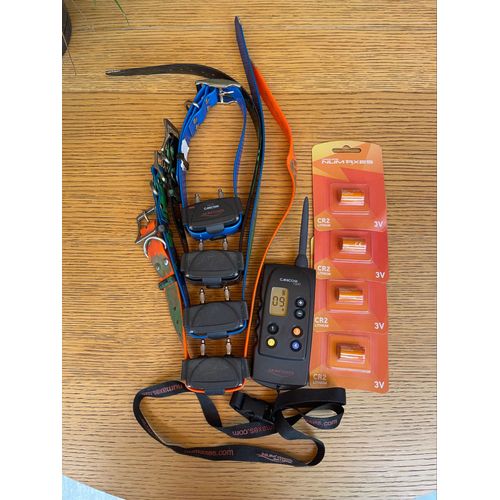 📢 Pack Complet Canicom 1500 – 1 Télécommande + 4 Colliers 