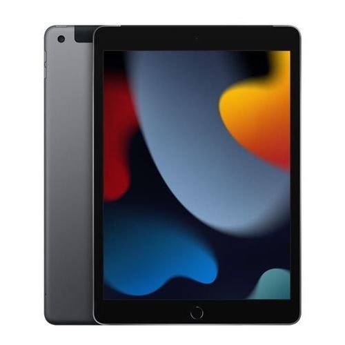 Tablette Apple iPad Wi-Fi + Cellular 64 Go 10.2 pouces Gris