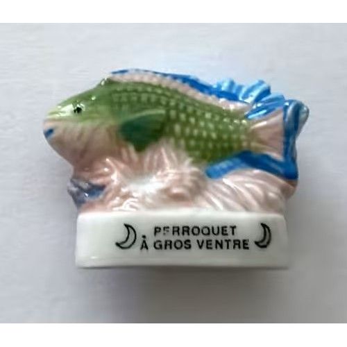 Feve Poisson Exotique Poisson Le Perroquet A Gros Ventre / Éditions Atlas Peinte À La Main
