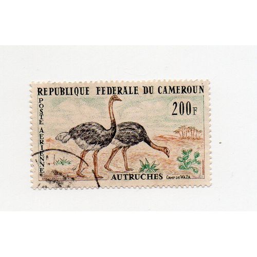Cameroun- 1 Timbre Oblitéré Poste Aérienne- Autruches