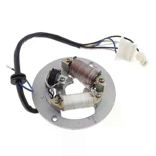 Plaque De Stator De Bobine D'allumage À 2 Bobines Pour Pw80 Pw 80 80