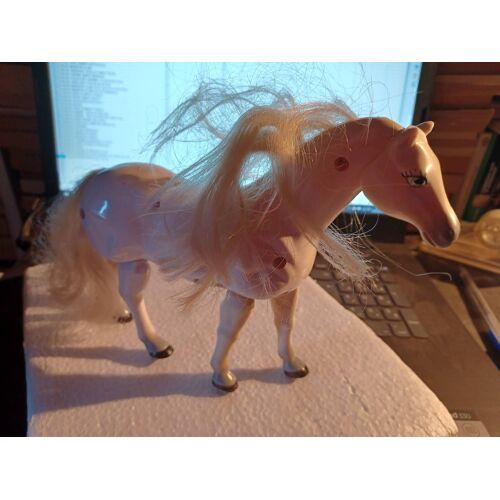 Cheval Blanc Articule