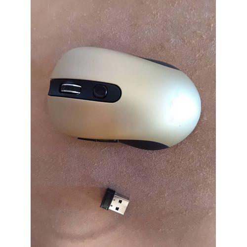Souris d'ordinateur sans fil