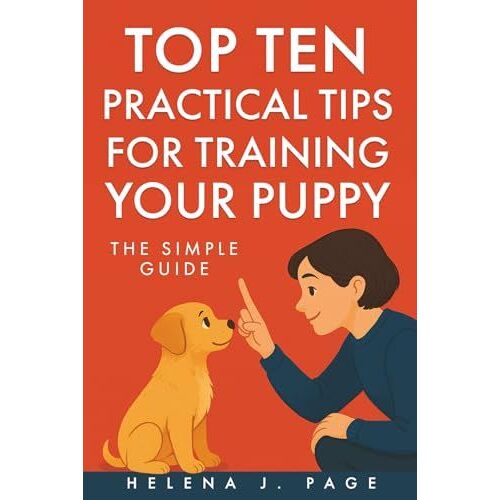 Top Ten Practical Tips For Training Your Puppy: The Simple Guide