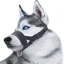 Muselière Réglable Anti-Morsure En Gel De Silice Souple Pour Chien, Masque De Sécurité Respirant Pour Chiot