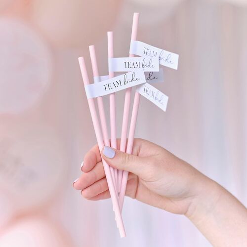 Team Bride Lot De 16 Pailles En Papier Pour Enterrement De Vie De Jeune Fille Rose