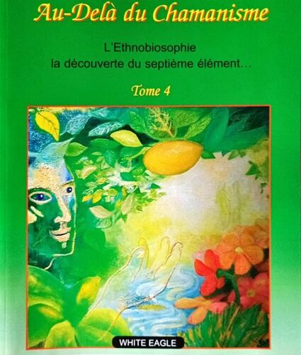 Au-Delà Du Chamanisme - Tome 4 - Emmanuel Fillaudeau