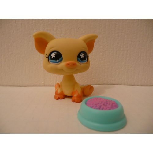 Petshop Cochon N° 475