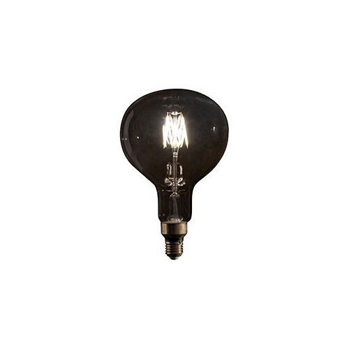 LED Filament Bulb R160