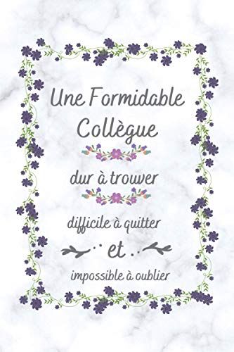 Une Formidable Collègue: Petit Journal Intime De Poche , Cadeau Collègue Bureau ( Secrétaire , Comptable , Enseignante )