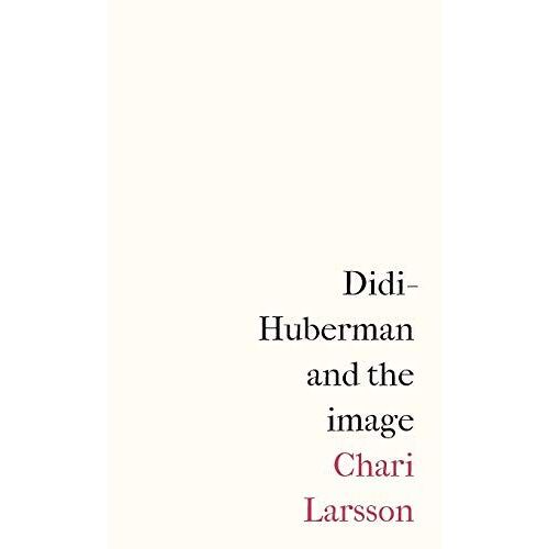 Didi-Huberman And The Image