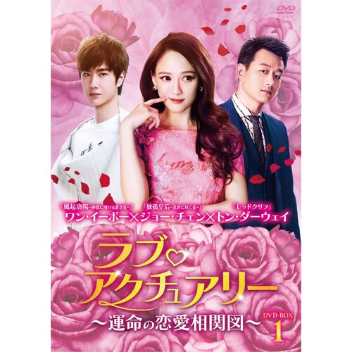 Dvd-Box1