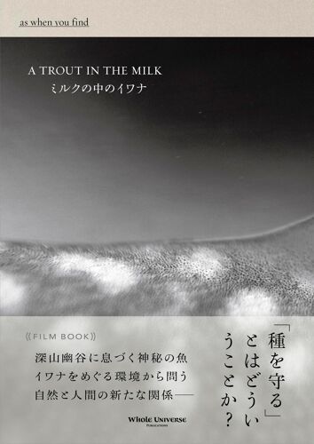 Film Book (Whole Universe Publications)