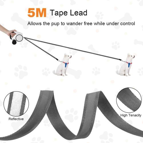 Chicslick-Laisse Chien Rétractable, 5 M Laisse Chien Enrouleur Avec Lampe De Poche Led, Support Sac À Déjections Canines, Laisse Télescopique Nylon, Laisse De Dres Automatique Pour Chiens Ju[X256]