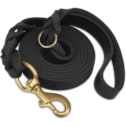 Teppc-Laisse Chien Cuir, Laisse En Cuir Robuste Pour Chien Avec Crochet En Laiton, Douce Et Durable, Adaptée Aux Petits, Moyens Et Grands Chiens¿Noir, 120cm×2cm¿