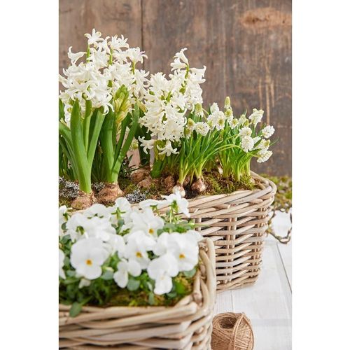 Jardinière En Rotin,Env. 30 X 15 X 15 Cm,Tressé,Gris/Marron