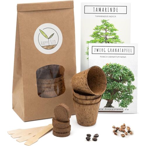Kalanka-Bonsai Starter Kit - Bonzai Set Avec Pots De Noix De Coco, Graines Et Terre - Idée De Cadeau Durable Pour Les Amoureux Des Plantes (Grenadier Nain + Tamarin)