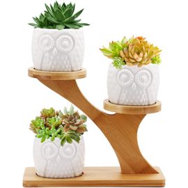 Pots De Fleurs En Céramique Avec Plateau En Bambou,Petits Pots De Fleurs En Forme De Cactus Pour La Maison,Le Bureau,Le Rebord De Fenêtre,Décoration (Chouette)
