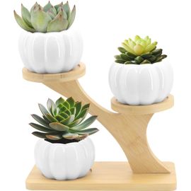 Pots De Fleurs Succulentes,En Céramique,Avec Support De Plateau En Bambou,Petits Pots De Plantation Pour Cactus À Domicile,Bureau,Décoration Windowsill (Style Citrouille Blanche)