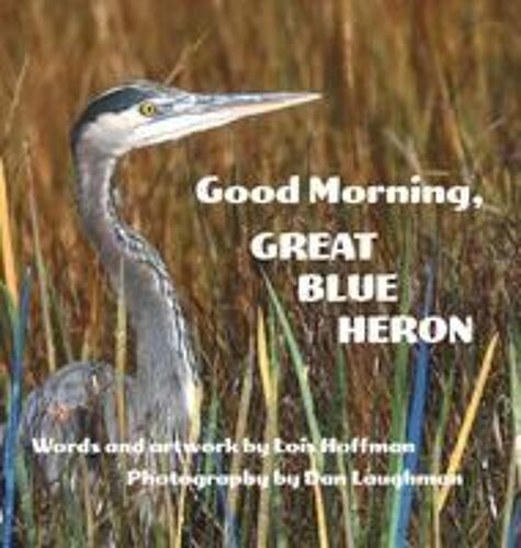 Good Morning, Great Blue Heron