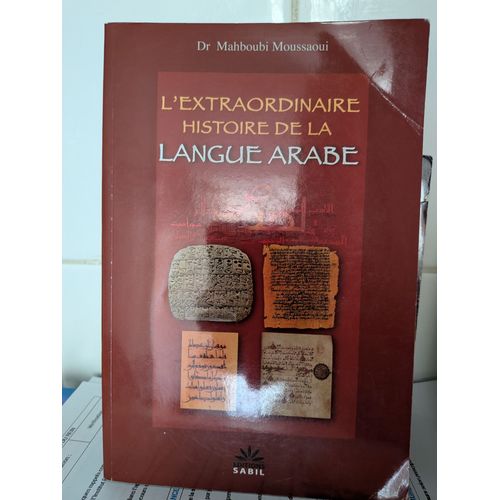 L'Extraordinaire Histoire De La Langue Arabe