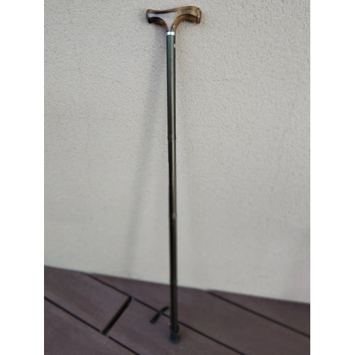 Canne De Marche Télescopique