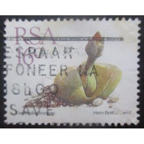 Afrique Du Sud N°665 Oblitéré