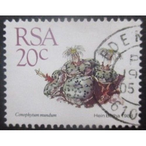 Afrique Du Sud N°666 Oblitéré