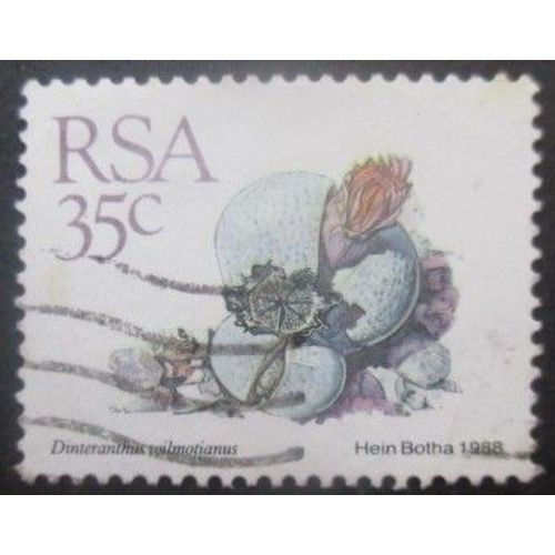 Afrique Du Sud N°669 Oblitéré