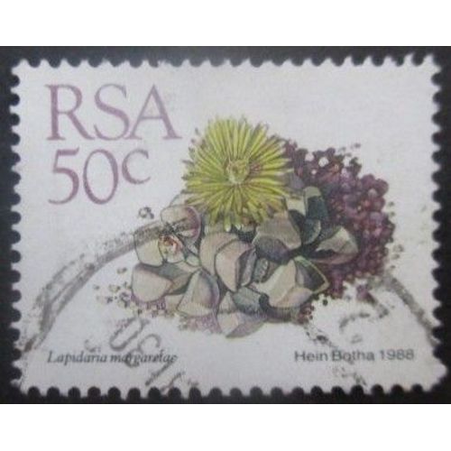 Afrique Du Sud N°671 Oblitéré