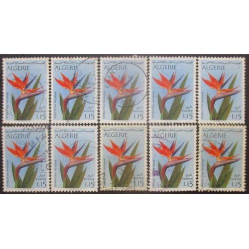 Algerie N°571 X 10 Oblitéré Cote 13 Euros