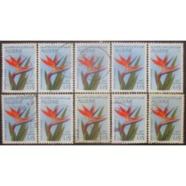 Algerie N°571 X 10 Oblitéré Cote 13 Euros